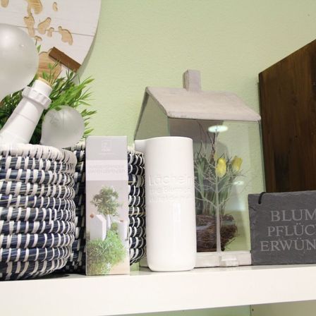 Bild enthält, Plant, Potted Plant, Basket, Furniture, Jar, Milk, Balloon, Planter, Vase, Table