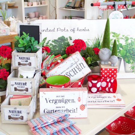 Bild enthält, Plant, Potted Plant, Flower, Rose, People, Person, Home Decor, Flower Arrangement, Market, Flower Bouquet