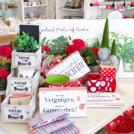 Image contains, Plant, Potted Plant, Flower, Rose, People, Person, Home Decor, Flower Arrangement, Market, Flower Bouquet