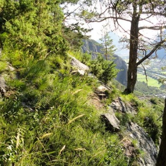 Ein steiles Hügelgelände mit einem schmalen Pfad, umgeben von üppigem Grün und Bäumen. Das Gelände ist rau mit sichtbaren Felsen und einem Blick auf ein Tal unten.