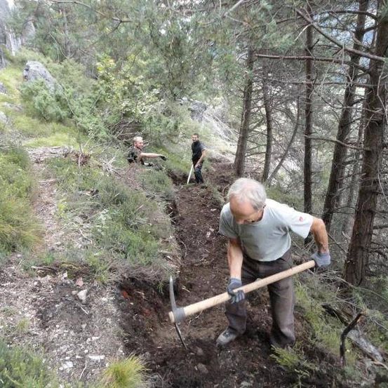 Ein älterer Mann gräbt mit einer Spitzhacke einen Pfad im Wald, während zwei andere beobachten. Das Gelände ist steil mit Bäumen und Gras.