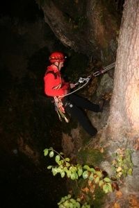 Eine Person in einer roten Jacke und Helm klettert mit einem Seil an einem Baum hoch, in einem dunklen, bewaldeten Gebiet bei Nacht.