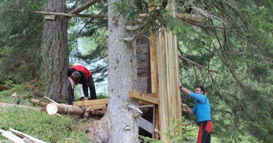 Zwei Männer bauen eine Holzstruktur in einem Wald, einer klettert, während der andere am Boden arbeitet.