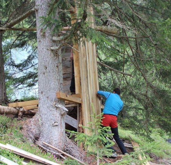 Zwei Männer bauen eine Holzstruktur in einem Wald, einer ist in einer Holztür, während der andere draußen ist.