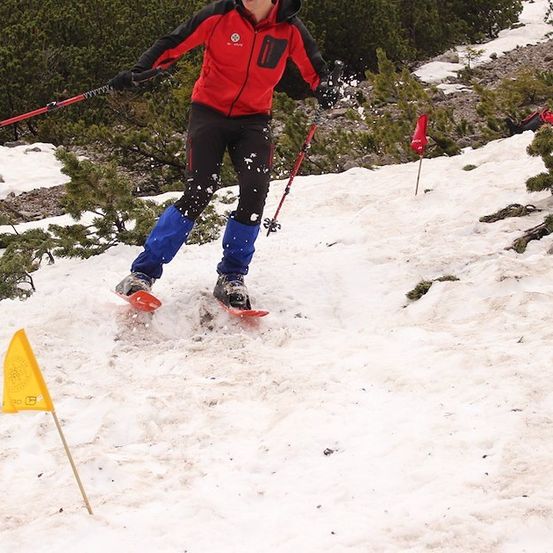 Ein Skifahrer in einem rot-schwarzen Jackett fährt mit roten Skistöcken einen verschneiten Berg hinunter.