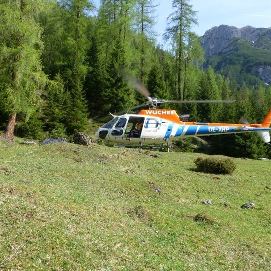 Ein Hubschrauber mit dem Kennzeichen DE-XHP ist auf einem Grashügel geparkt, umgeben von hohen Bäumen und Bergen im Hintergrund.