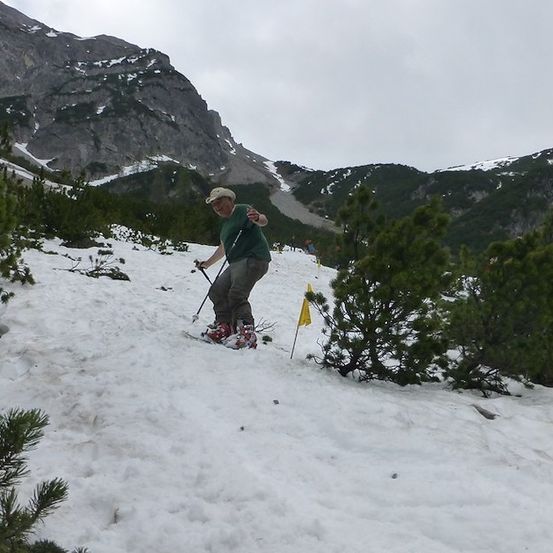 Ein Skifahrer fährt einen schneebedeckten Berghang mit Kiefern und Flaggen im Hintergrund.