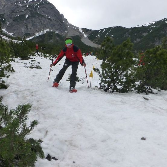 Ein Skifahrer in einem roten Jackett und einer grünen Kopfband navigiert einen schneebedeckten Bergpfad, umgeben von Kiefern und gelben Markierungen.