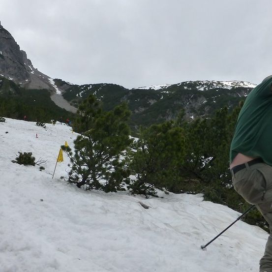 Ein Mann in einem grünen Shirt skifahrer auf einem verschneiten Berg mit Kiefern und Flaggen.
