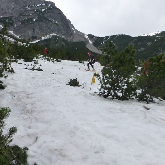 Ein Skifahrer fährt einen schneebedeckten Berghang hinunter, der von gelben Flaggen markiert ist.