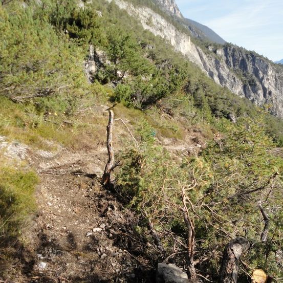 Ein Wanderweg in einem bergigen Gebiet mit steilem Hang, umgeben von grüner Vegetation und Felsen. Der Weg ist schmal und kurvenreich, mit freier Sicht auf die Bergkette in der Ferne.