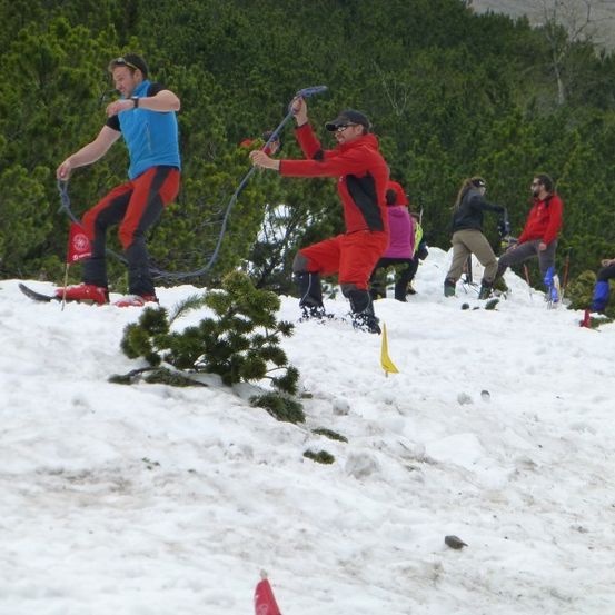 Eine Gruppe von Skifahrern in roten und blauen Outfits fährt einen schneebedeckten Hang hinunter, mit Flaggen und Bäumen im Hintergrund.
