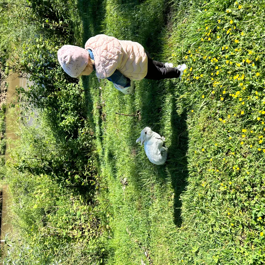 Ein Kind in einem rosa Hut und einer Jacke beugt sich herunter, um einen weißen Hasen zu betrachten, der im Gras sitzt. Der Ort ist ein sonniges Grasfeld mit gelben Blumen.