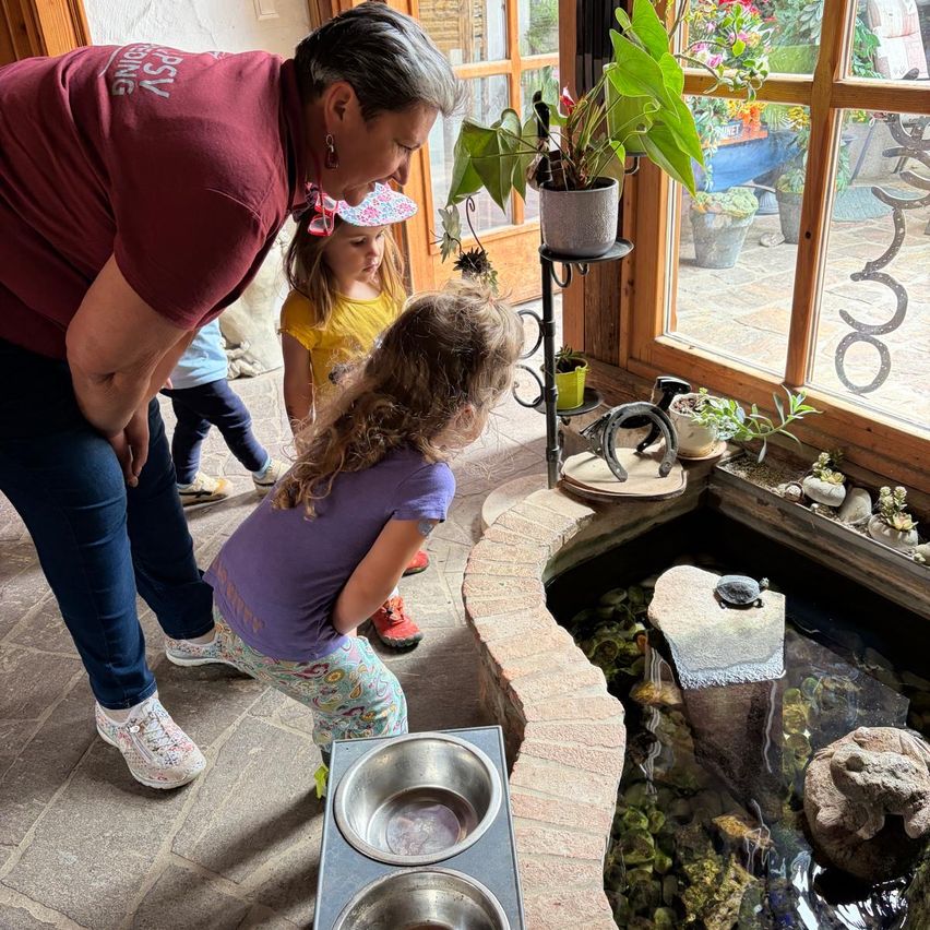Eine Frau und zwei Mädchen beobachten eine Schildkröte in einem kleinen Teich, in der Nähe eines Fensters mit Topfpflanzen.