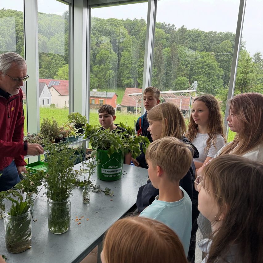 Ein Mann in einer roten Jacke unterrichtet eine Gruppe von Kindern über Pflanzen in einem Gewächshaus. Es gibt Pflanzen in Gläsern auf dem Tisch. Die Fenster zeigen Häuser und Bäume in der Ferne.