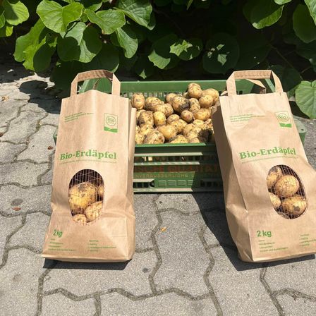 Bild enthält, Food, First Aid, Plant, Potato, Produce, Vegetable