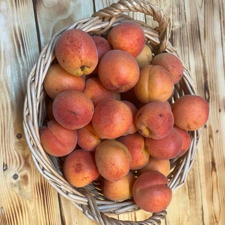 Bild enthält, Food, Fruit, Plant, Produce, Pear, Peach