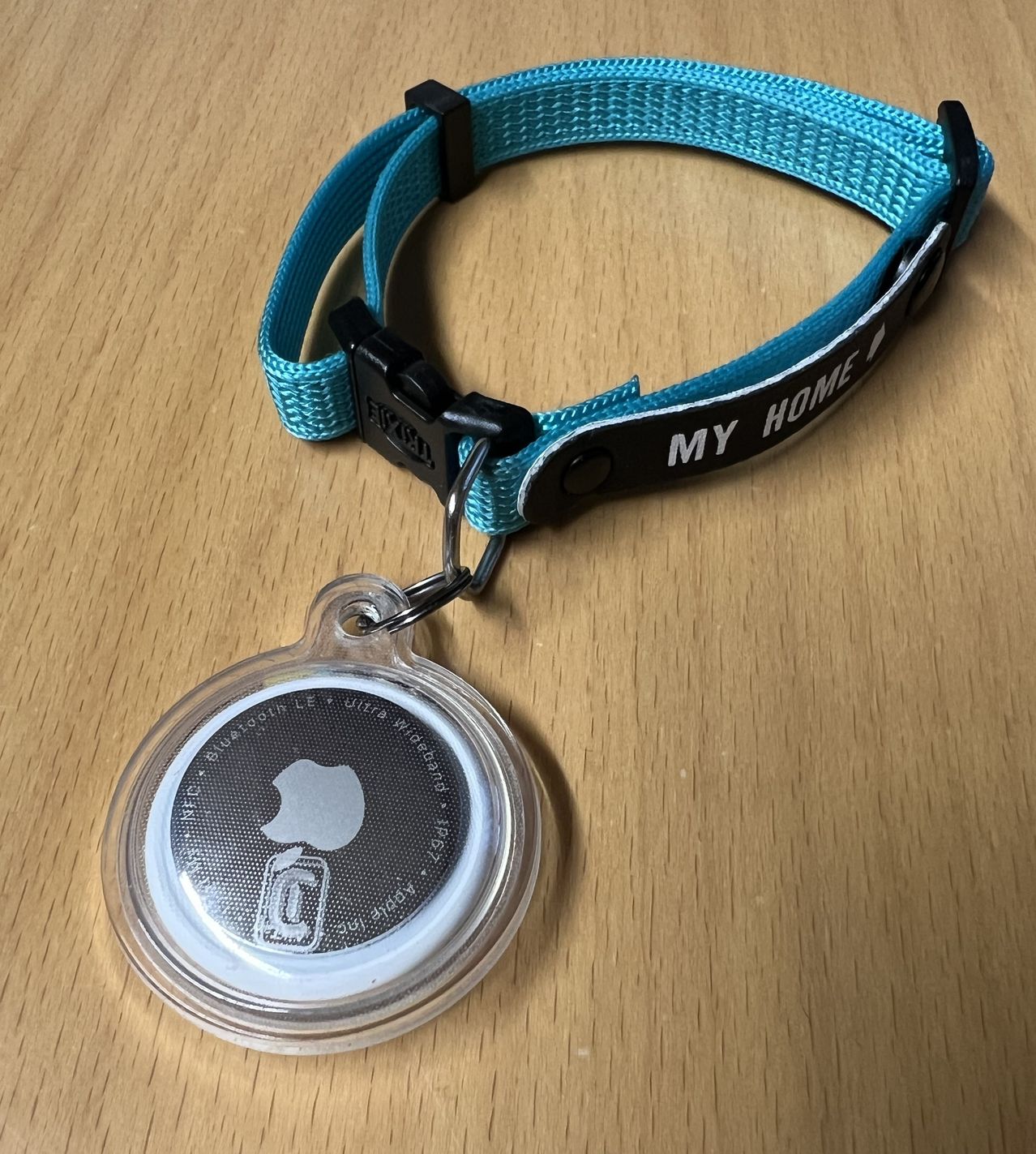 Ein türkisfarbenes Halsband mit einer schwarzen Schnalle und einem durchsichtigen Schlüsselanhänger, der einen Apple AirTag enthält. Der AirTag zeigt ein silbernes Apple-Logo. Auf dem Halsband steht 'My Home' in weißen Buchstaben.