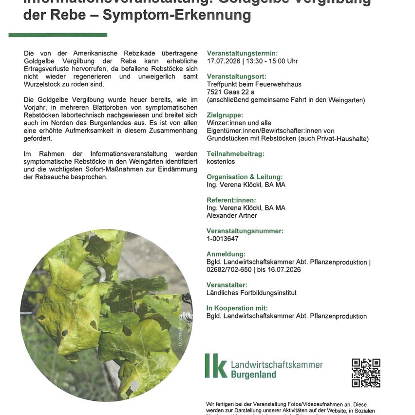 Ein Flyer mit Informationen über die goldene Vergilbung der Rebe, einschließlich eines Fotos von betroffenen Blättern, Details zu einer Veranstaltung am 17. Juli 2022 und Kontaktinformationen des Veranstalters.