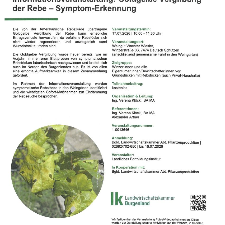Plakat für eine Veranstaltung zur Erkennung von Rebsymptomen auf Deutsch. Es enthält Angaben zum Datum, zur Zeit und zum Ort der Veranstaltung sowie zu den Referenten und Organisatoren. Das Plakat zeigt auch ein Bild einer Rebe mit sichtbaren Symptomen.