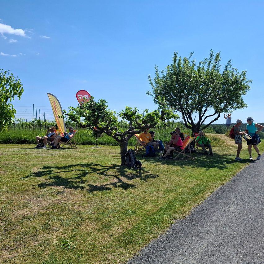 Eine Gruppe von Menschen entspannt sich in Klappstühlen unter Bäumen an einem sonnigen Tag. Zwei Personen gehen am Rand des Weges. Eine Person steht weit im Hintergrund.