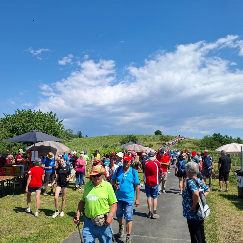 Eine große Gruppe von Menschen geht in einer Reihe auf einem Weg in einem Park. Einige tragen Hüte und haben Taschen dabei. Links sind Schirme und Tische aufgestellt. Der Himmel ist blau mit Wolken.