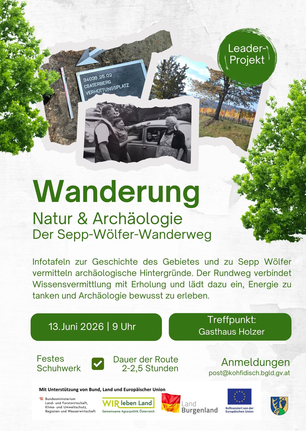 Ein Natur- und Archäologie-Wanderweg mit Infotafeln zur Geschichte des Gebiets und zu Sepp Wölfer. Der Sepp-Wölfer-Wanderweg verbindet Wissensvermittlung mit Erholung und lädt dazu ein, Energie zu tanken und Archäologie bewusst zu erleben. Treffpunkt: Gasthaus Holzer. Datum: 13. Juni 2026, 9 Uhr. Dauer der Route: 2-3,5 Stunden.