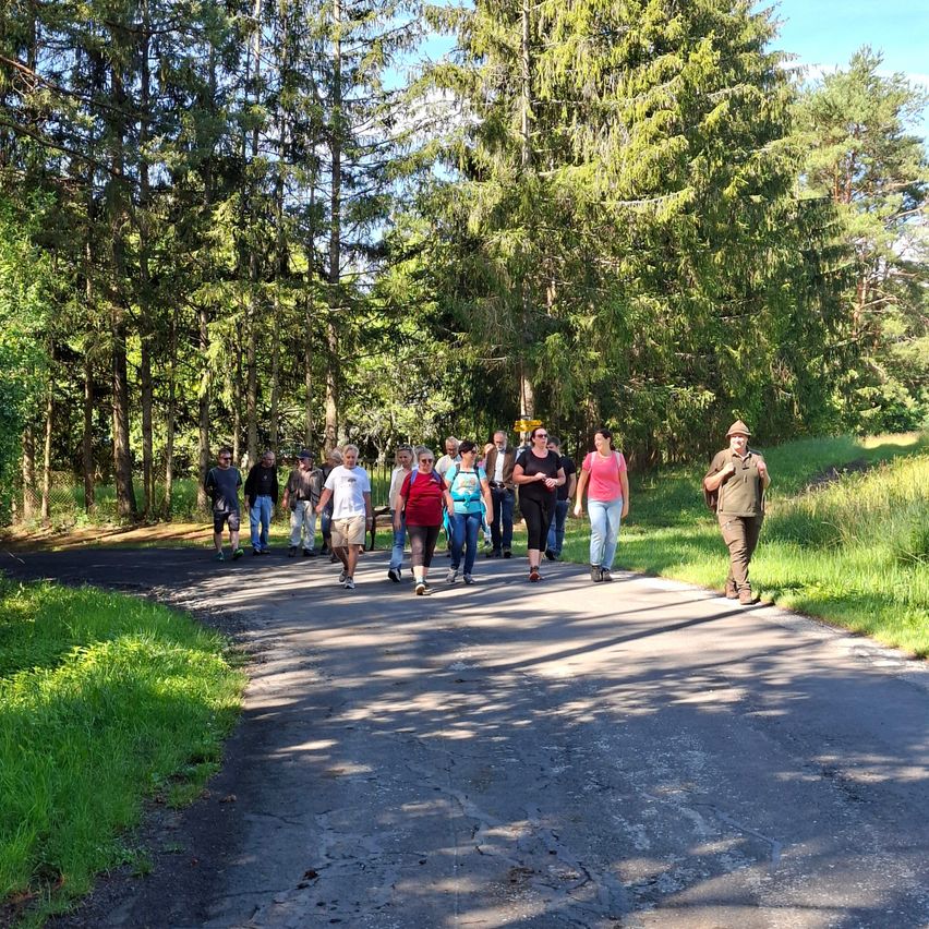 Eine Gruppe von Menschen läuft auf einem Pfad in einem Wald mit hohen Bäumen und Grün.