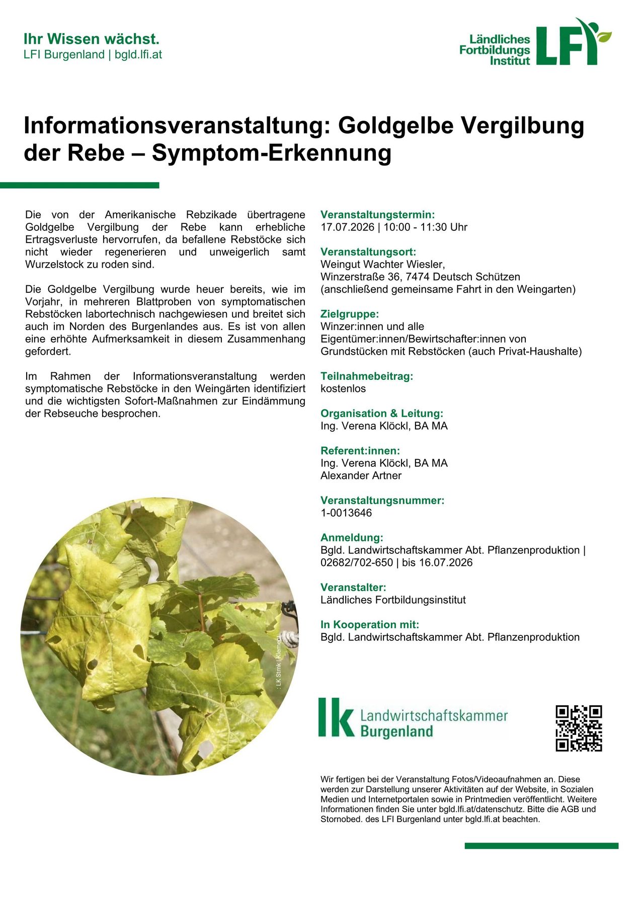 Veranstaltungsflyer zur Erkennung von Rebsymptomen. Details zu Datum, Zeit und Ort sind angegeben. Es wird auf die Auswirkungen der Amerikanischen Rebenzikade auf Weinstöcke hingewiesen und die Notwendigkeit von Kontrollmaßnahmen betont. Der Flyer enthält eine Kontaktnummer und erwähnt einen QR-Code für weitere Informationen.