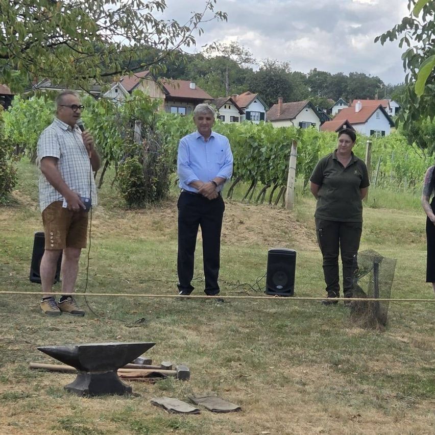 Drei Menschen stehen in einem Weinberg mit Häusern im Hintergrund. Ein Mann mit Mikrofon und einer mit Hammer sind anwesend.