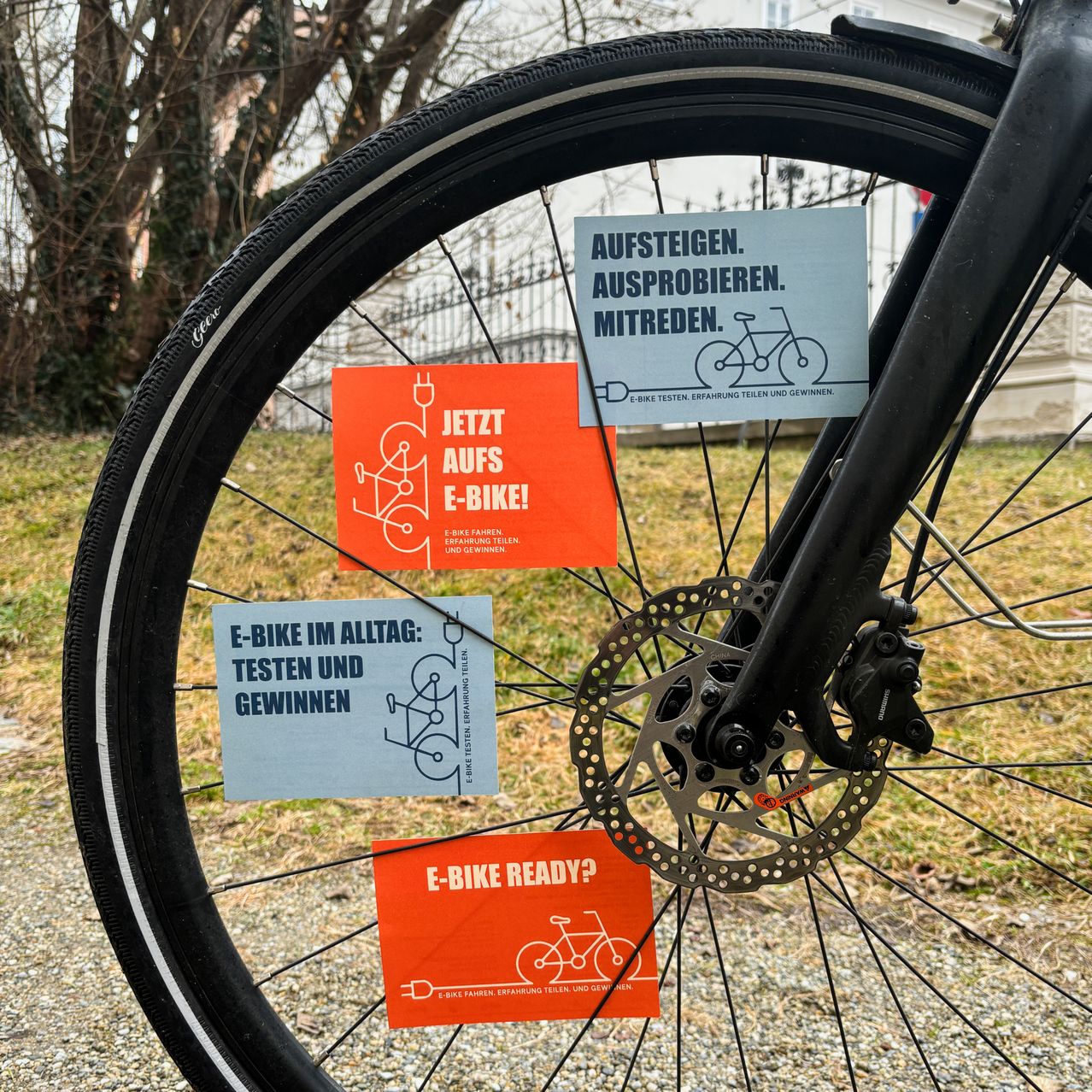 kona kinderfahrrad Process 24