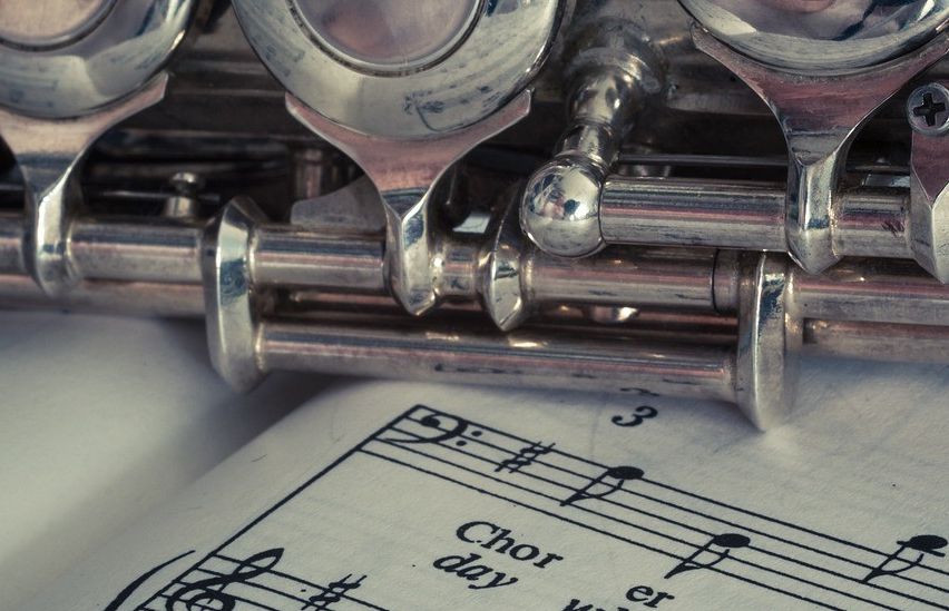 Bild enthält, Musical Instrument, Gun, Weapon