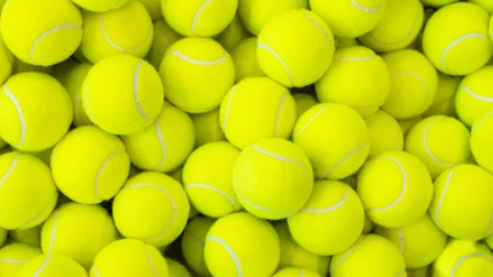 v1_migrated_image_71863745