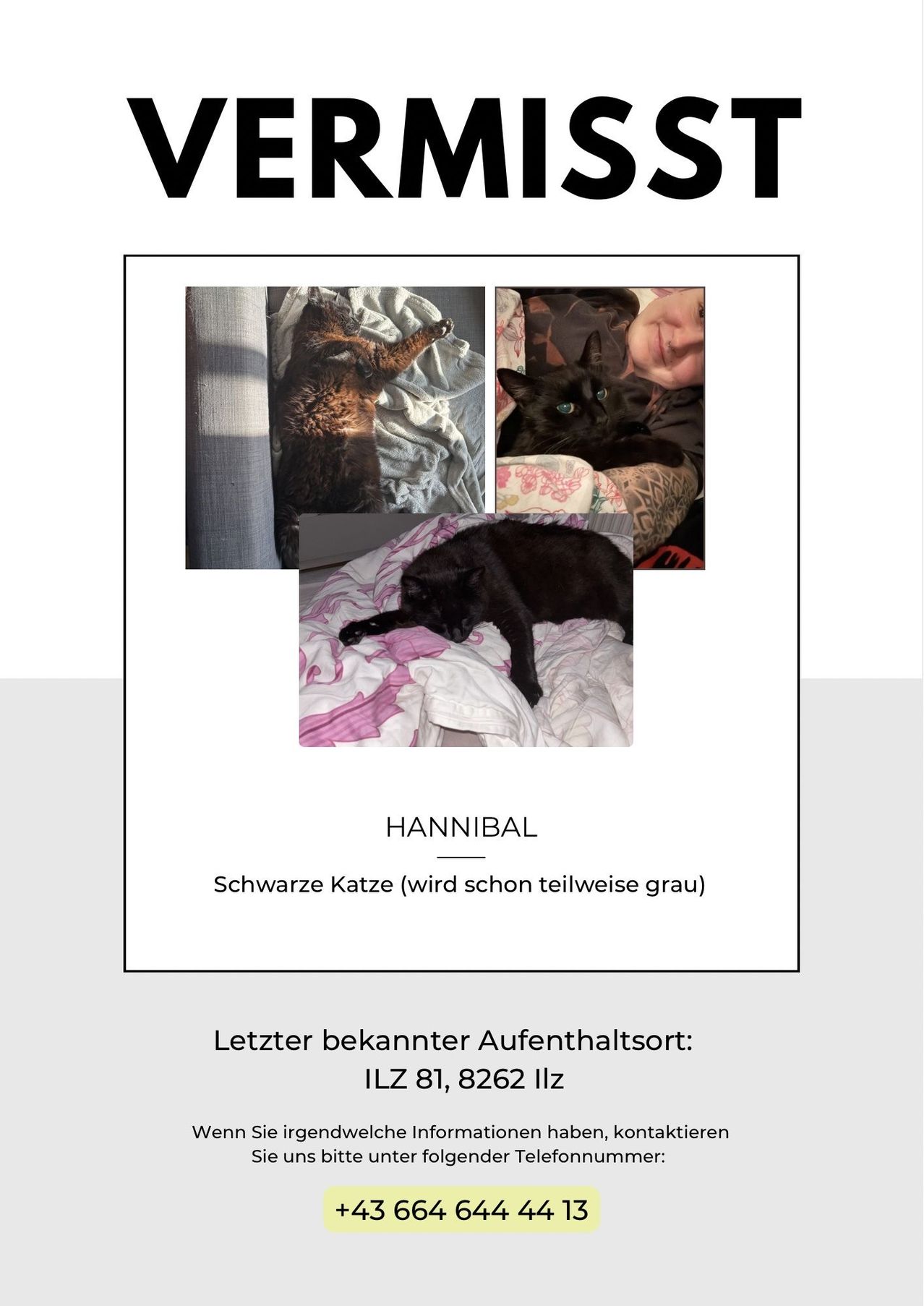 Eine Collage von Bildern, die eine schwarze Katze mit einigen grauen Flecken zeigt. Sie liegt auf einem Bett und wird von einer Person gestreichelt. Die Katze heißt Hannibal. Der letzte bekannte Aufenthaltsort ist ILZ 81, 8262 Ilz.