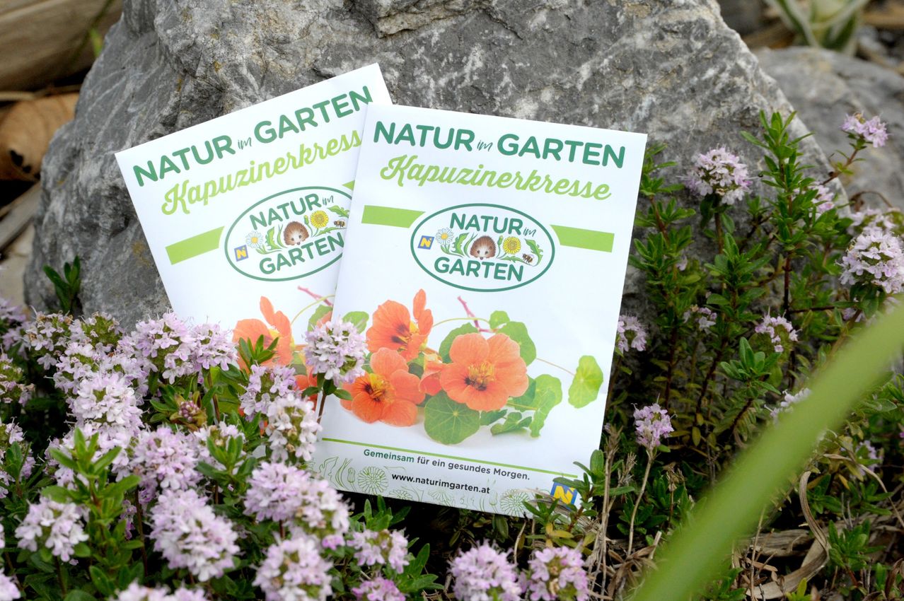 Zwei gefaltete Broschüren mit dem Titel 'Kapuzinerkresse' liegen auf einem Felsen umgeben von Blumen. Sie zeigen eine Illustration von orangefarbenen Blumen.