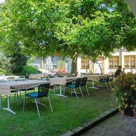 Ein Outdoor-Cafébereich mit Tischen und Stühlen unter einem großen Baum, umgeben von grünem Gras. In der Nähe befinden sich Topfpflanzen und Blumen. Eine Person sitzt auf einer Bank in der Nähe des Gebäudes.