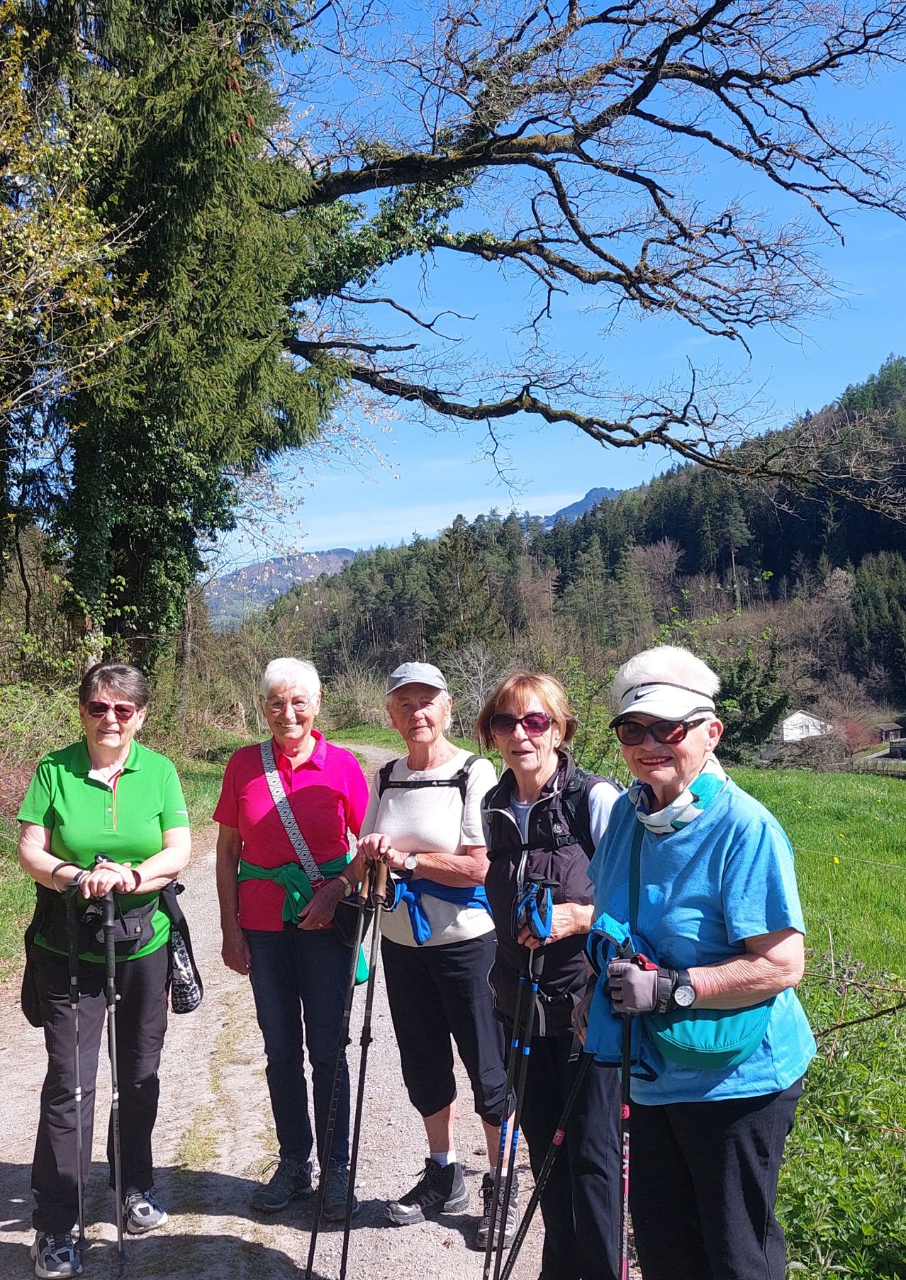 Fünf Frauen mit Wanderstäben stehen auf einem Pfad zwischen zwei Grasflächen. Dahinter befinden sich Bäume, ein Berg und ein Haus.