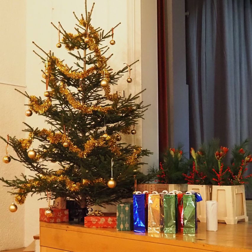Ein kleiner Weihnachtsbaum ist mit goldenen Ornamenten und Tinsel geschmückt. Er steht auf einer Holzfläche mit Geschenken und eingewickelten Papiertüten. Im Hintergrund befinden sich Pflanzen mit roten Beeren.