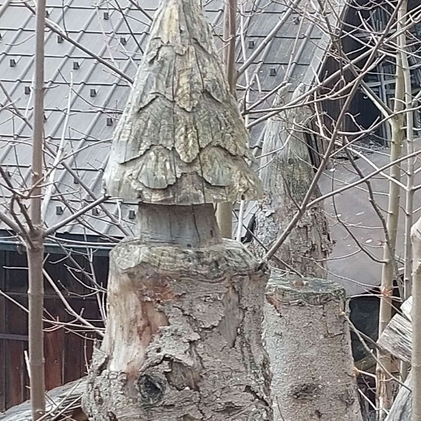 Eine Nahaufnahme eines Baumstumpfs mit einem blattlosen Ast auf der linken Seite und einem grauen Dach dahinter. Der Baumstumpf hat einen dekorativen, kegelförmigen Aufsatz.