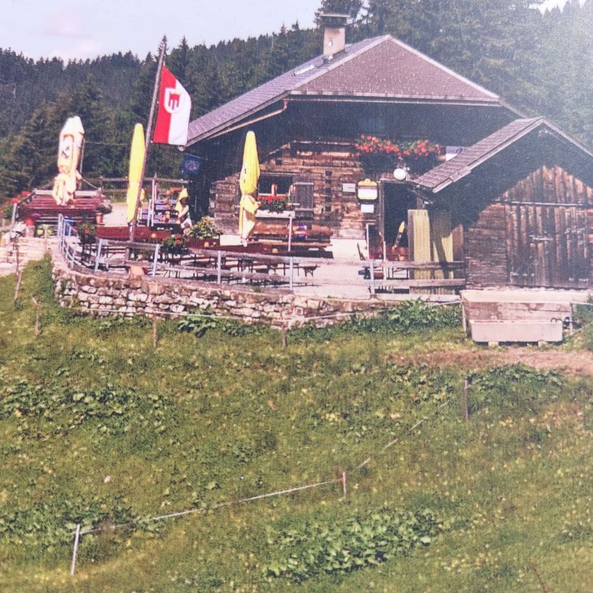 Eine rustikale Blockhütte mit einem Fahnenmast und gelben Sonnenschirmen steht in einem Grasbereich mit einer Steinmauer. Bäume sind im Hintergrund.