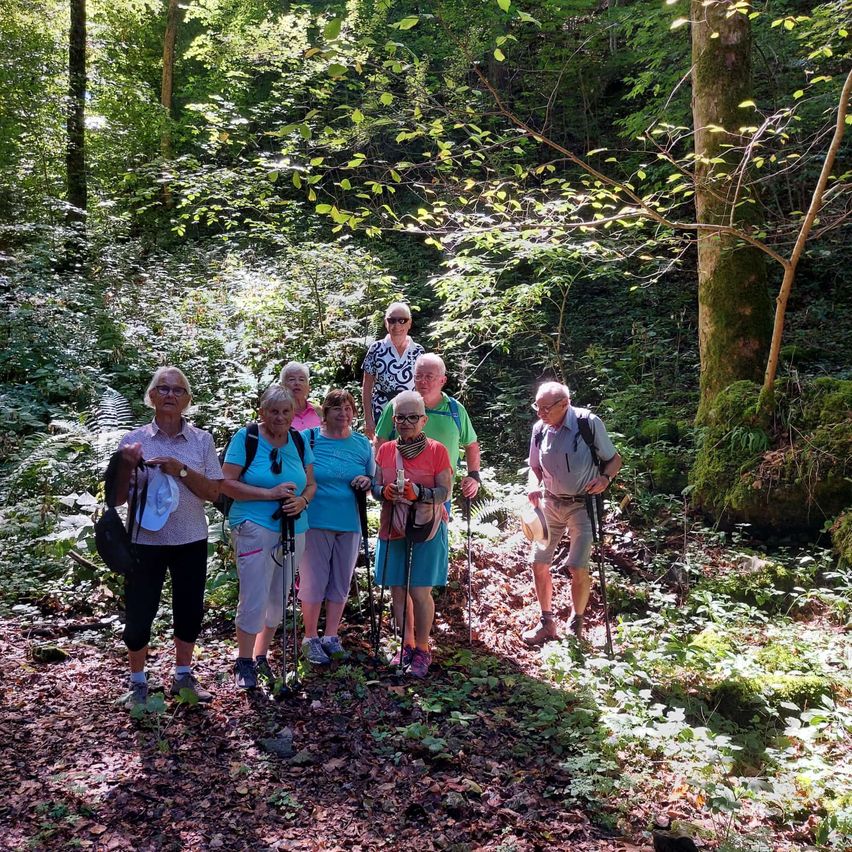 Eine Gruppe älterer Wanderer, alle mit Wanderstöcken ausgestattet, steht in einem üppigen Wald und posiert lächelnd für ein Foto.