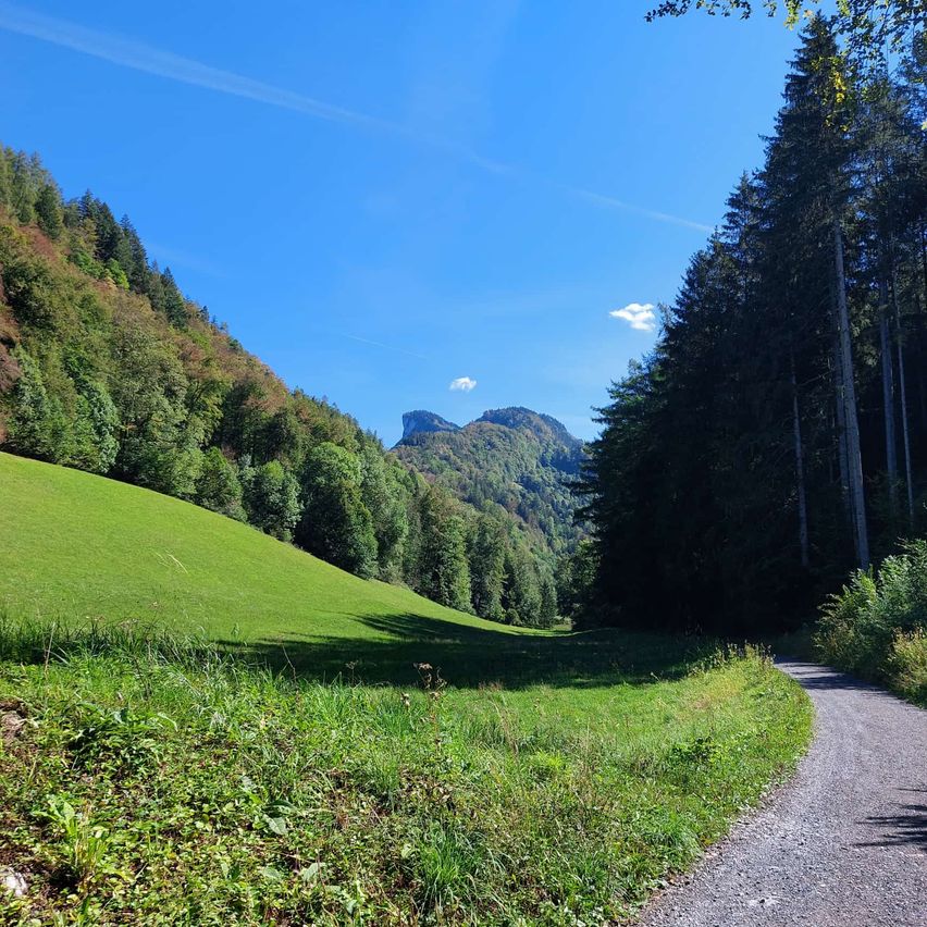 Eine friedliche Landschaft mit einem Schotterweg, der sich durch ein üppiges grünes Tal schlängelt, umgeben von dichten Wäldern und Bergen unter einem klaren blauen Himmel.