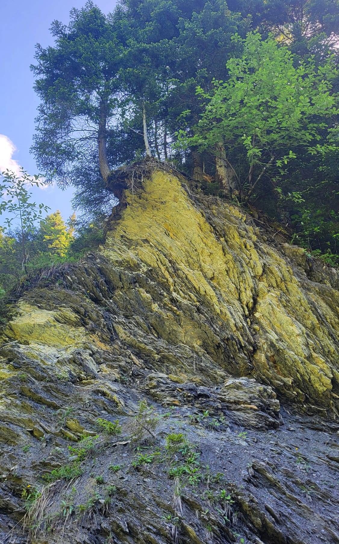 Ein gelb gefärbter Felsvorsprung mit Bäumen auf der Spitze, umgeben von üppigem grünem Laub. Die Felsen zeigen eine Mischung aus Farben und Texturen.