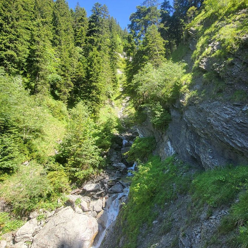 Ein schmaler Pfad schlängelt sich durch ein bewaldetes Gebirgstal, wobei ein kleiner Bach über Steine fließt. Hohe Bäume umgeben das Gebiet, und das Sonnenlicht filtert durch das Blätterdach.