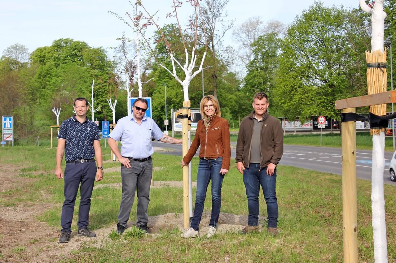 Vier Personen stehen in einer Reihe neben einem frisch gepflanzten Baum und lächeln für ein Foto. Dahinter befindet sich eine Straße mit Verkehrszeichen und grünen Bäumen.