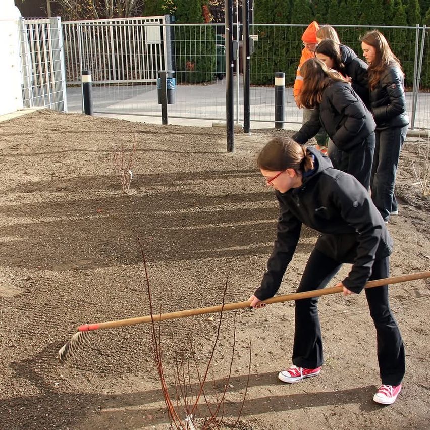 Eine Frau kratzt Erde in einem Garten, während drei andere zusehen. Der Garten ist mit Metallbarrieren und Pfosten eingezäunt. Hinter dem Zaun sind zwei Mülleimer sichtbar.