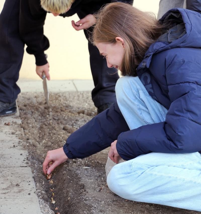Eine Frau pflanzt Samen in einem Garten, während eine andere Person eine Schaufel hält. Sie knien beide.