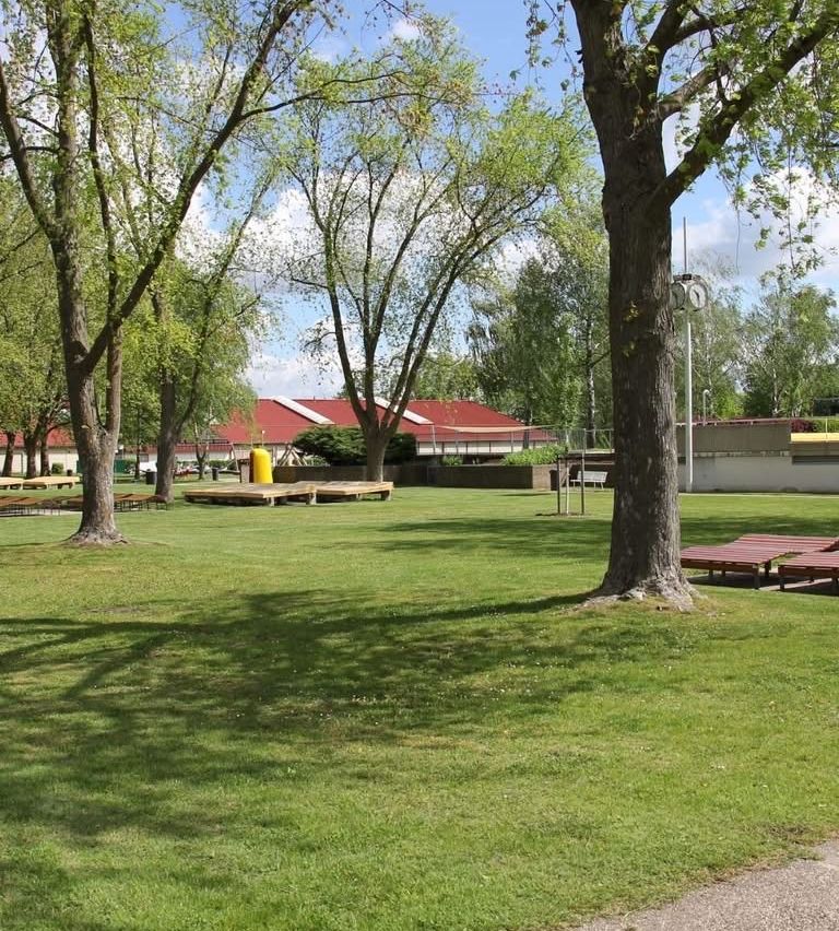 Ein Park mit grünem Rasen und mehreren Bäumen. Holzbänke sind unter den Bäumen aufgestellt. Ein gelber Fass steht neben den Bänken. Ein paar Gebäude mit roten Dächern stehen hinter den Bäumen.