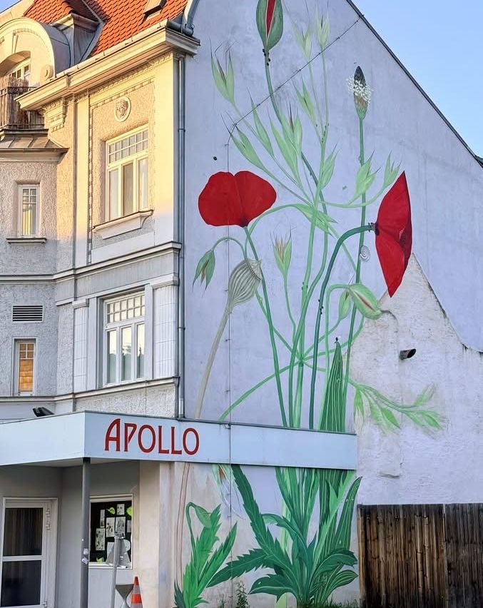 Ein Gebäude mit einem großen Wandbild von roten Mohnblumen und grünen Blättern. Das Wandbild befindet sich an der Seite des Gebäudes und trägt den Namen Apollo darunter.