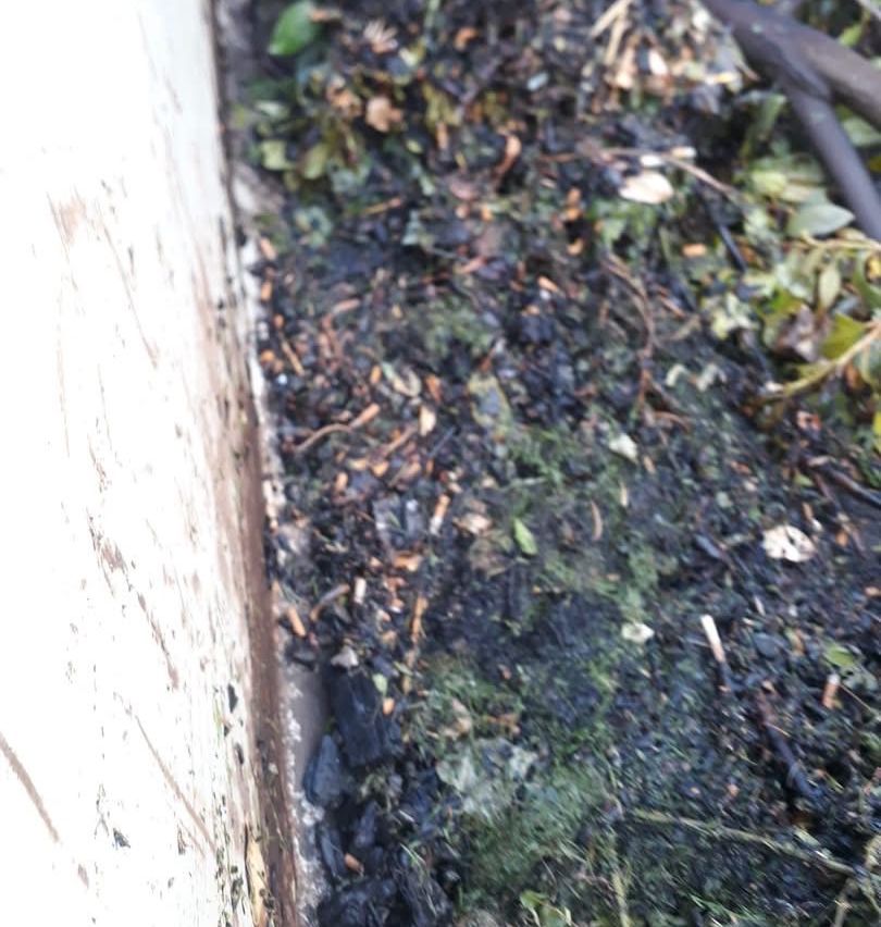 Eine Nahaufnahme einer weißen Wand mit Schmutz und Ablagerungen auf dem Boden. Der Schmutz ist eine Mischung aus Schwarz und Grün, möglicherweise von Blättern und Erde.